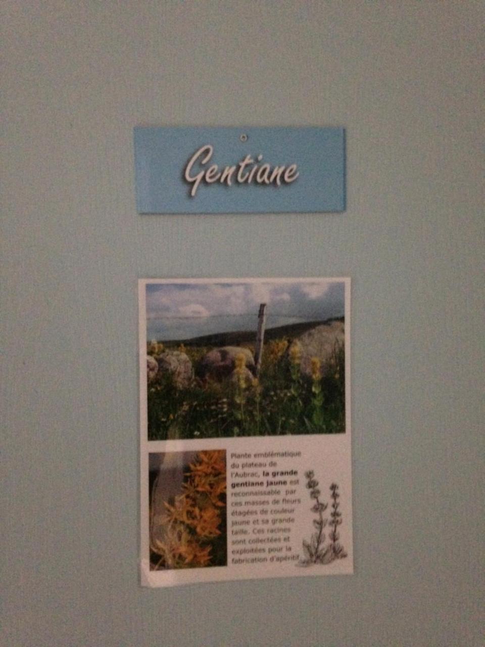 Gite Du Forail Laguiole Exteriér fotografie